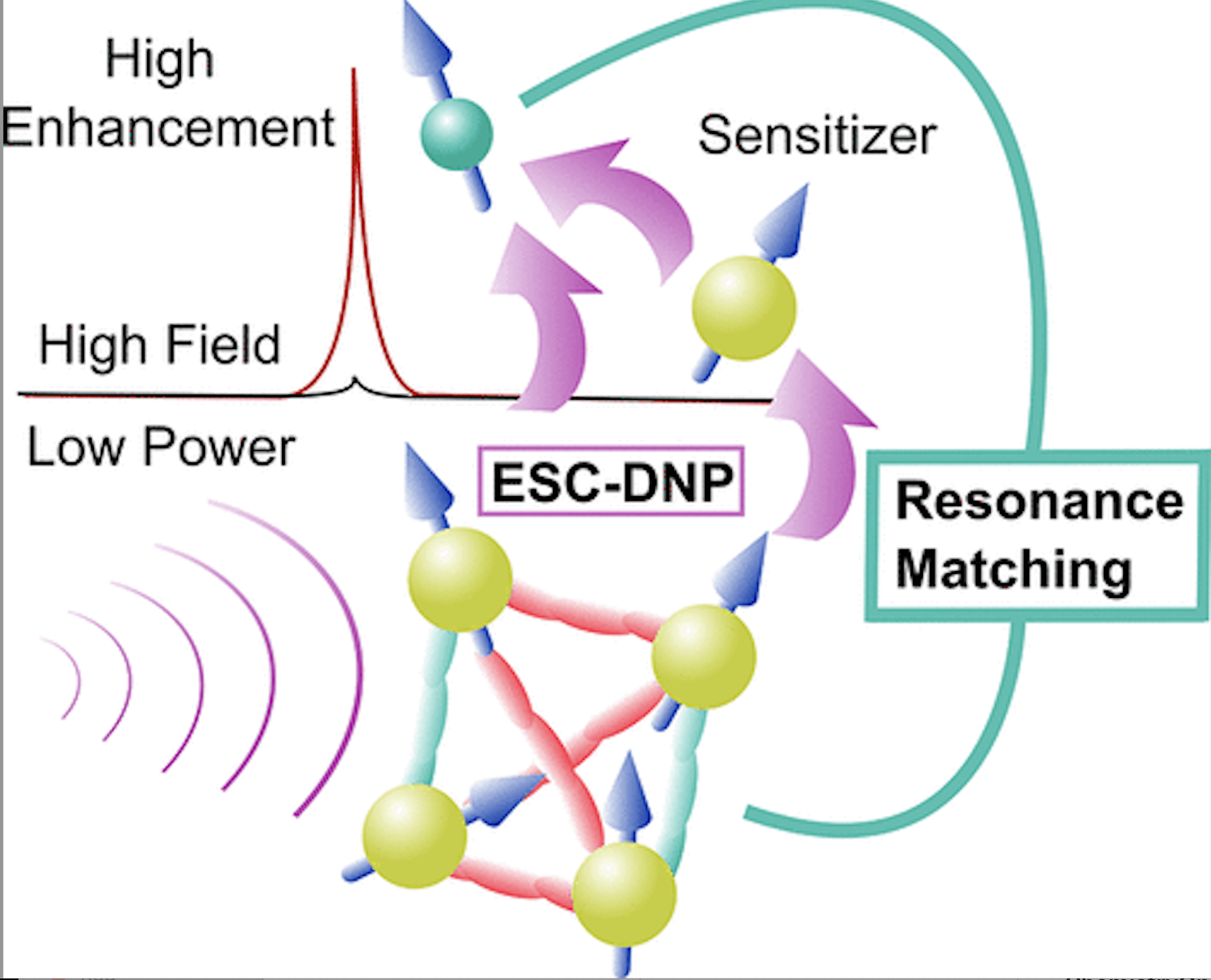 Dynamic Nuclear Polarization Using Electron Spin Cluster